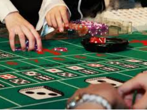 森林舞会电玩城最新版